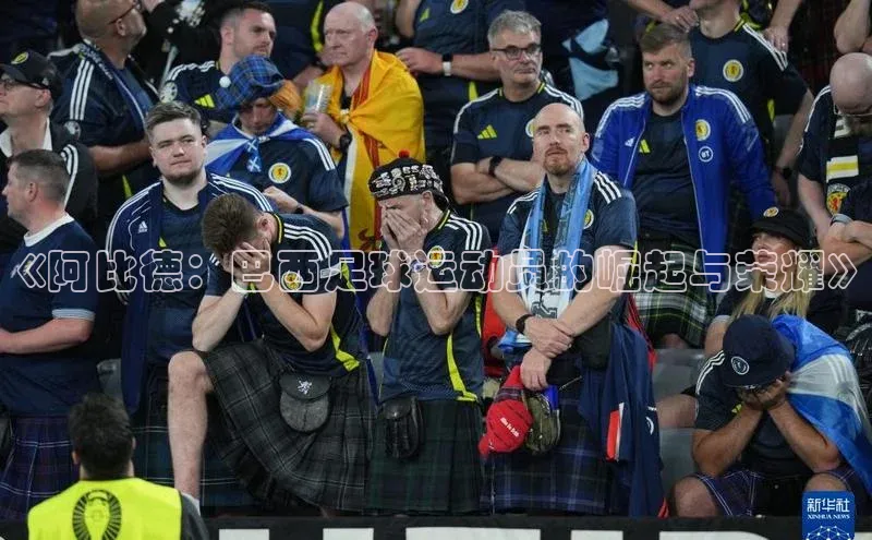 8868平台登录入口百度手机助手《阿比德：巴西足球运动员的崛起与荣耀》