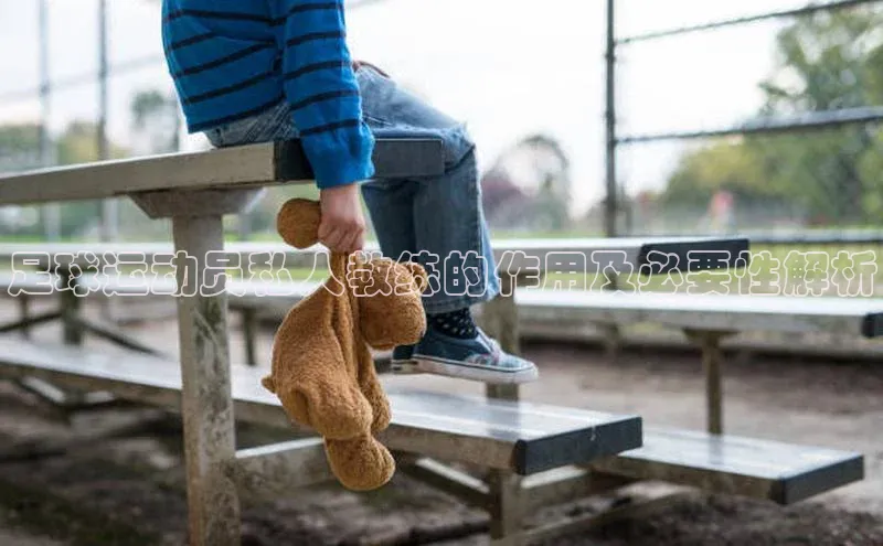 8868在线官网登录入口百度学术足球运动员私人教练的作用及必要性解析