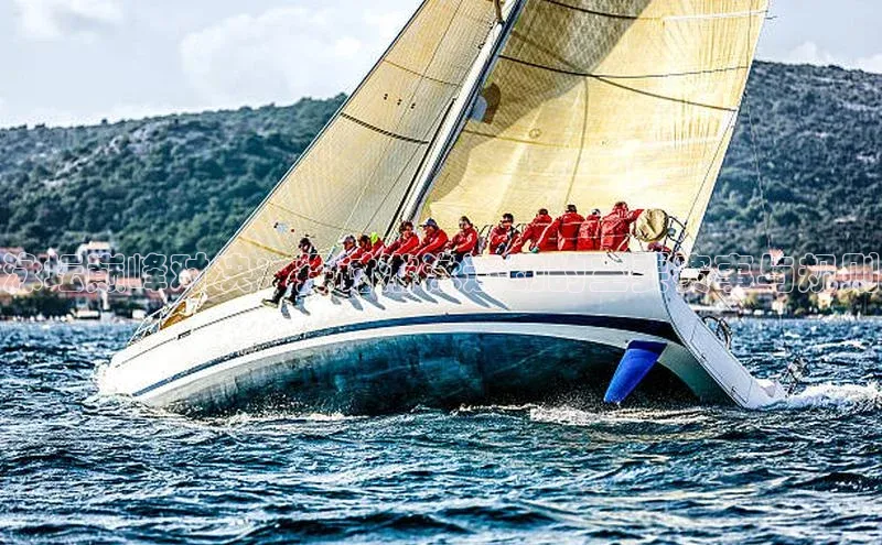 泳坛巅峰对决：探讨游泳运动的主要赛事与规则