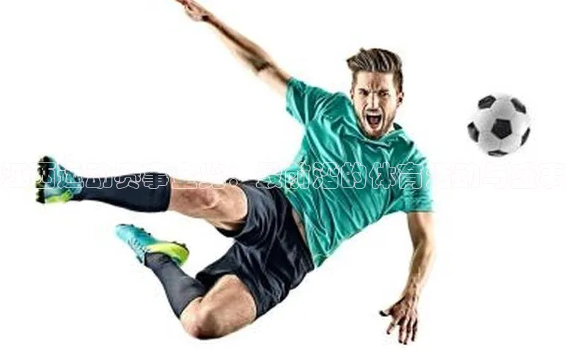 江西运动赛事全览：最前沿的体育活动与盛事