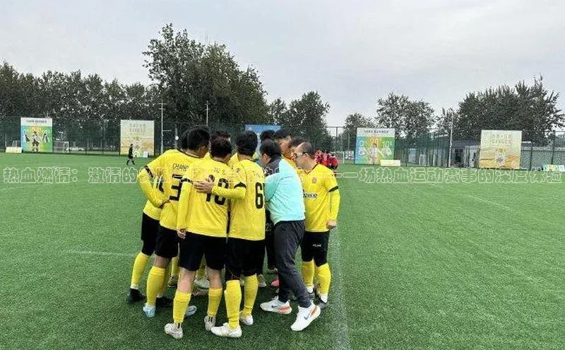 热血燃情：激情的极限与团队合作的魅力——一场热血运动赛事的深度体验