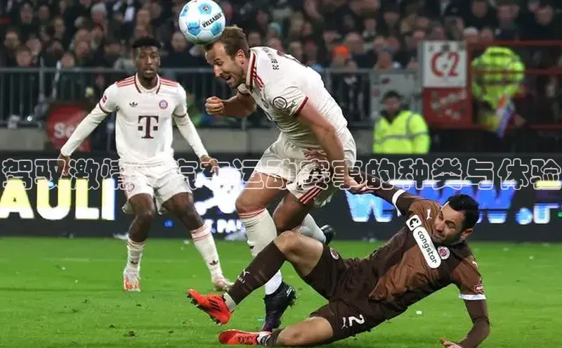 驾驭激情：汽车运动赛事的种类与体验