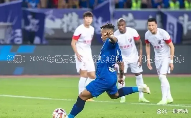 极限：2023年世界游泳锦标赛的精彩瞬间与幕后故事