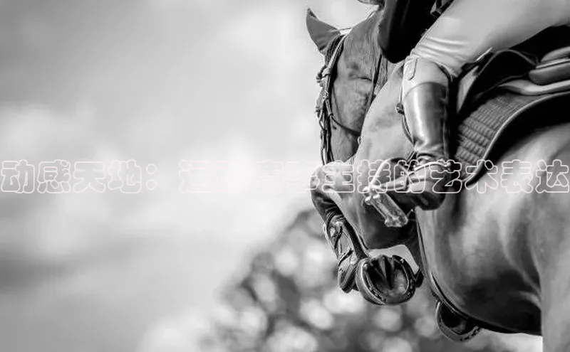 动感天地：运动赛事主持的艺术表达