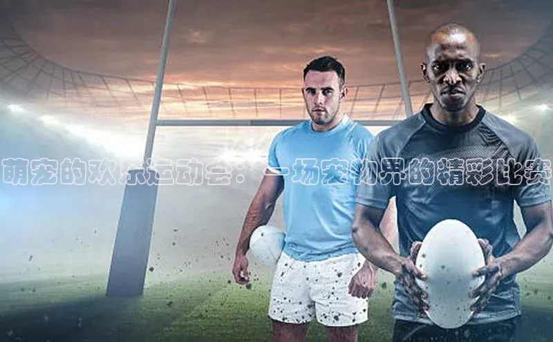 萌宠的欢乐运动会：一场宠物界的精彩比赛