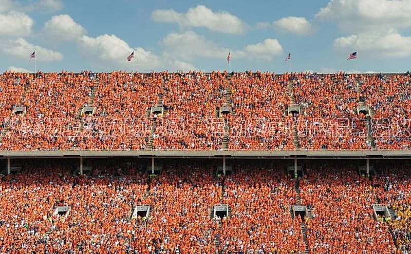 从赛场上汲取的灵感：运动赛事的心得与建议