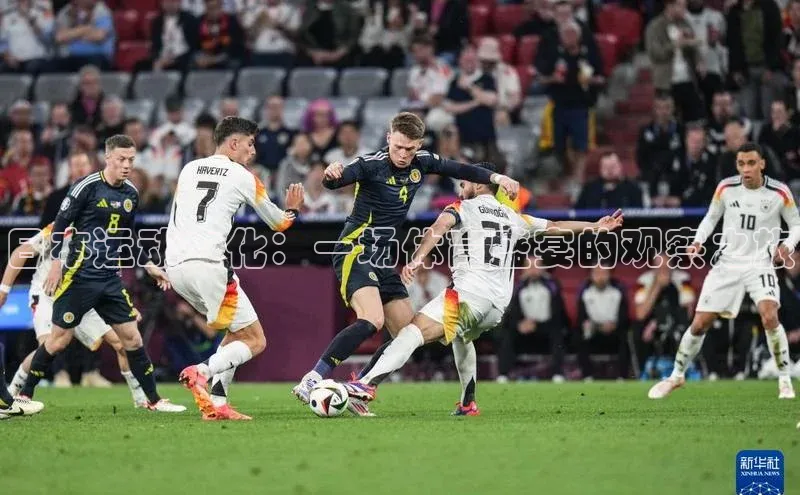 日本运动文化：一场体育盛宴的观察之旅