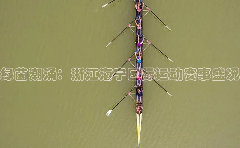 绿茵潮涌：浙江海宁国际运动赛事盛况