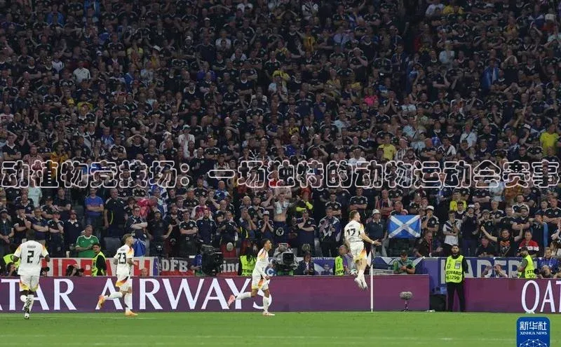 动植物竞技场：一场独特的动物运动会赛事