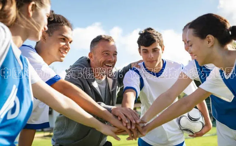 中国运动员赛事概览图：体育竞技的多元世界