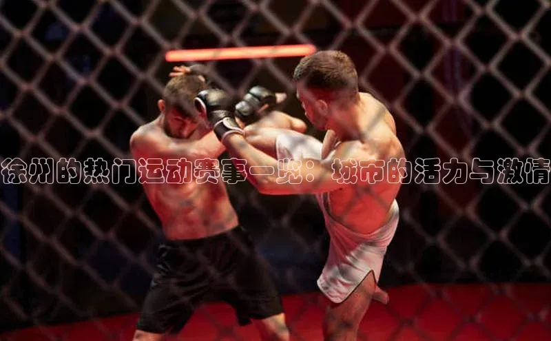 徐州的热门运动赛事一览：城市的活力与激情