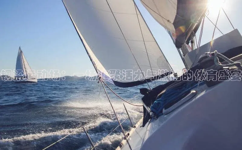 8868体育在线官网