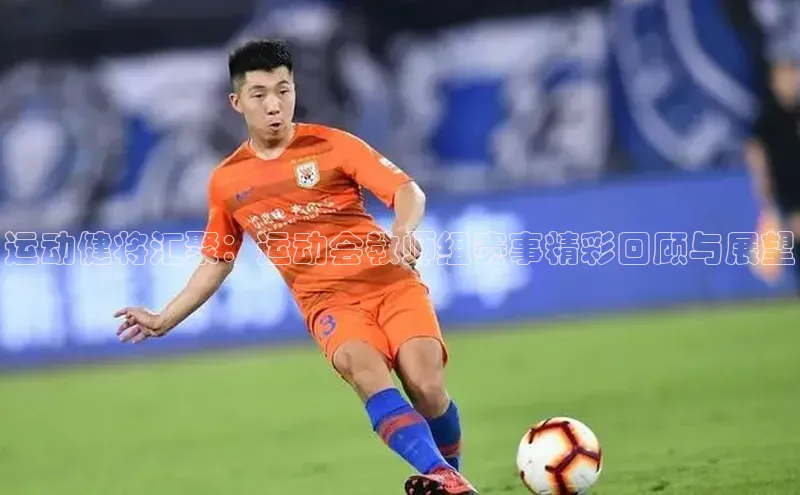 8868体育网站入口手机版