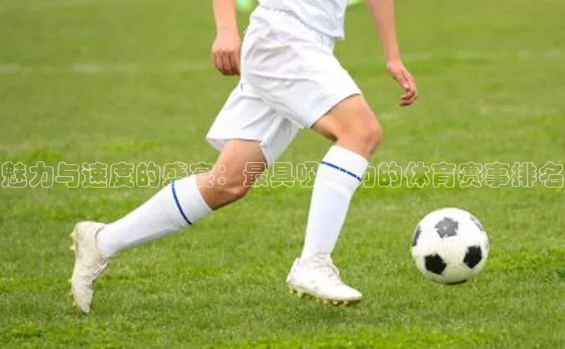 魅力与速度的盛宴：最具吸引力的体育赛事排名