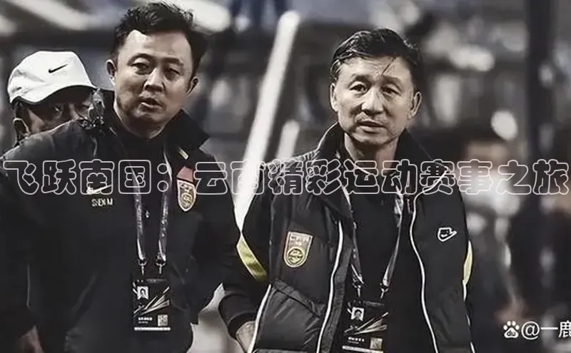 8868体育官方网页版