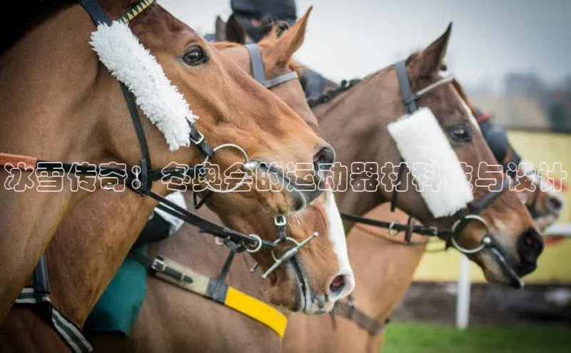 冰雪传奇：冬奥会的运动器材科技与设计