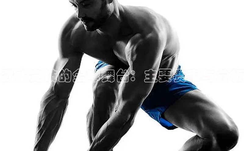 武术竞技的全球舞台：主要赛事与分析